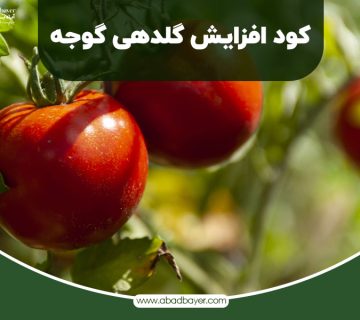 کود افزایش گلدهی گوجه