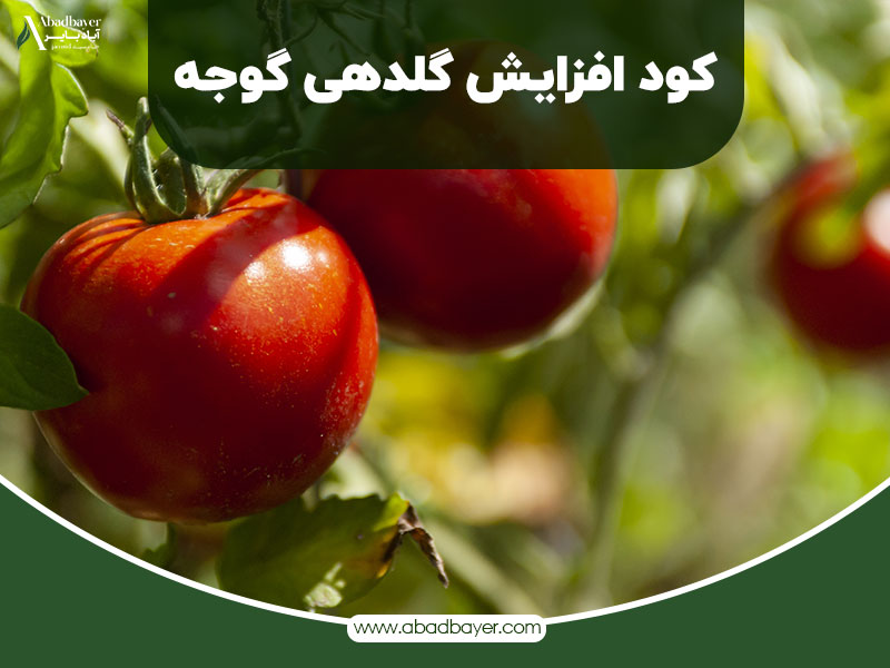 کود افزایش گلدهی گوجه