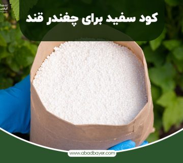 کود سفید برای چغندرقند