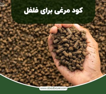 کود مرغی برای فلفل