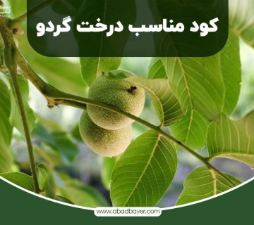 کودمناسب درخت گردو
