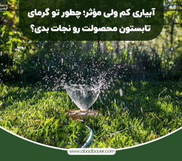 آبیار کم ولی موثر چطور تو گرمای تابستان محصولت را نجات بدی