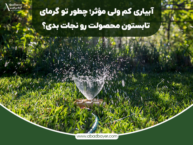 آبیار کم ولی موثر چطور تو گرمای تابستان محصولت را نجات بدی