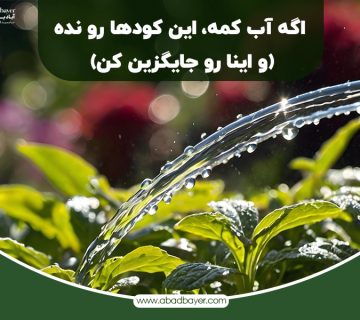  آب کمه این کود هارو نده 360x320
