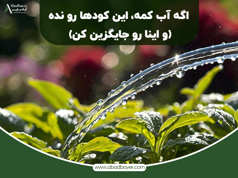  آب کمه این کود هارو نده