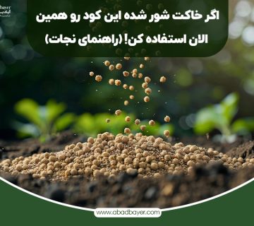 اگر خاکت شور شده این کود را همین الان بده