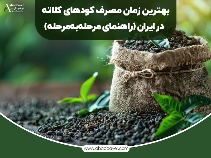 بهترین زمان مصرف کود های کلاته در ایران