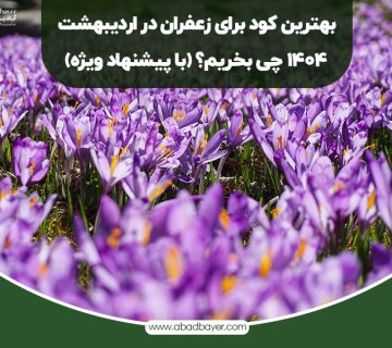 بهترین کود برای زعفران در اردیبهشت