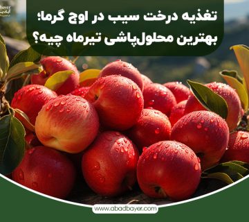 تغذیه درخت سیب در اوج گرما بهترین محلول پاشی تیر ماه چیه ؟