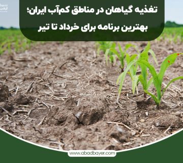 تغذیه گیاهان در مناطق کم آب ایران بهترین برنامه برای خرداد و تیر