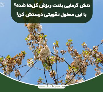 تنش گرمایی باعث ریزش گل ها شده با این محلول تقویتی