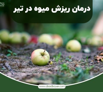 درمان ریزش میوه در تیر