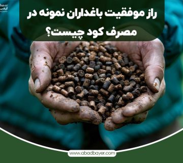 راز موفقیت باغداران نمونه در مصرف کود چیست