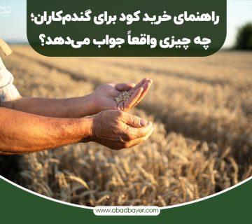 راهنما خرید کود برای گندم کاران