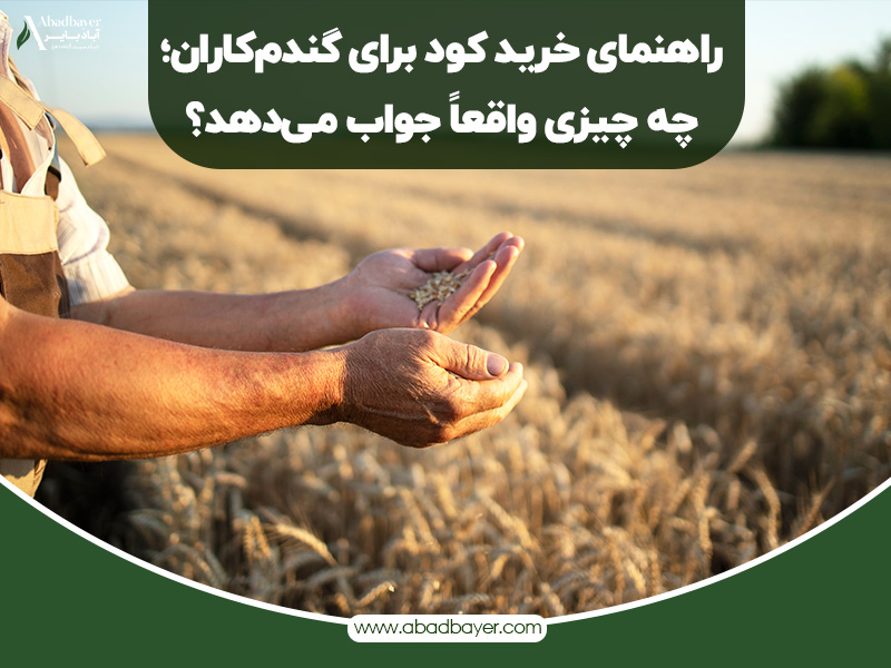 راهنما خرید کود برای گندم کاران
