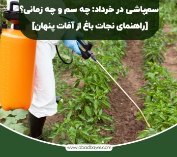 سم پاشی در خرداد چه سمی ؟چه زمانی ؟