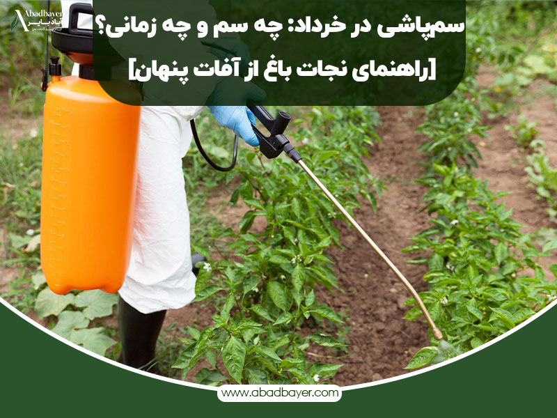 سم پاشی در خرداد چه سمی ؟چه زمانی ؟