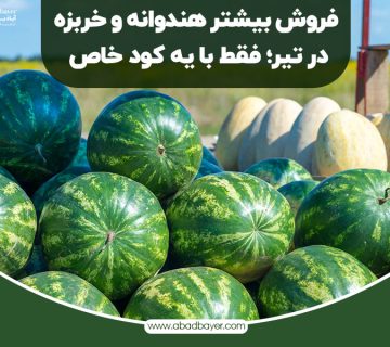 فروش بیشتر هندوانه و خربزه در تیر با یک کود خاص