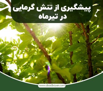 پیشگیری از تنش گرمایی در تیر ماه