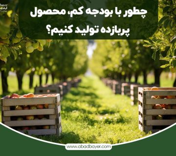 چطور با بودجه کم محصول پر بازده تولید کنیم