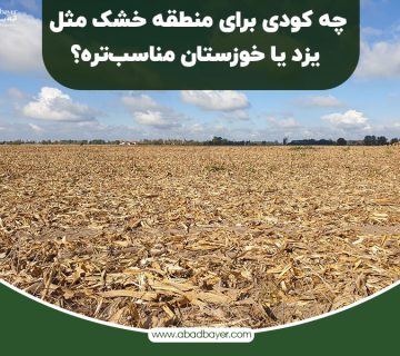چه کودی برای مناطق خشک مناسب تره