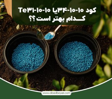 کود 10 10 34 یا 10 10 31 +TE: کدام بهتر است؟