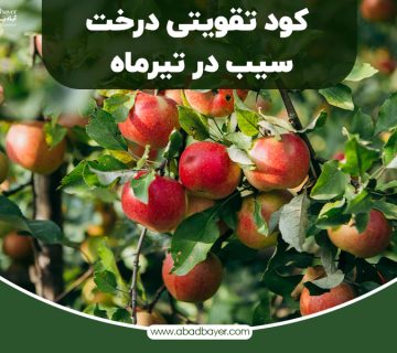 کود تقویتی درخت سیب در تیر ماه