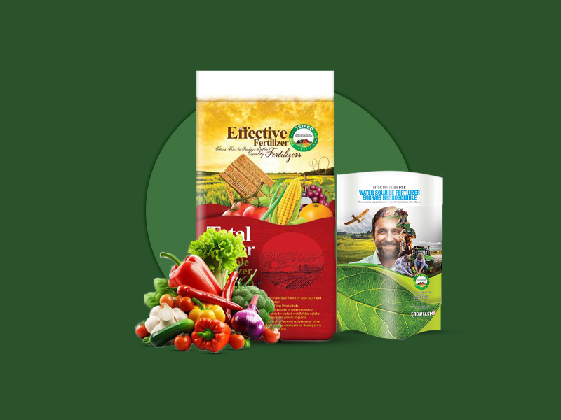 NPK 12-12-36 تتاکو