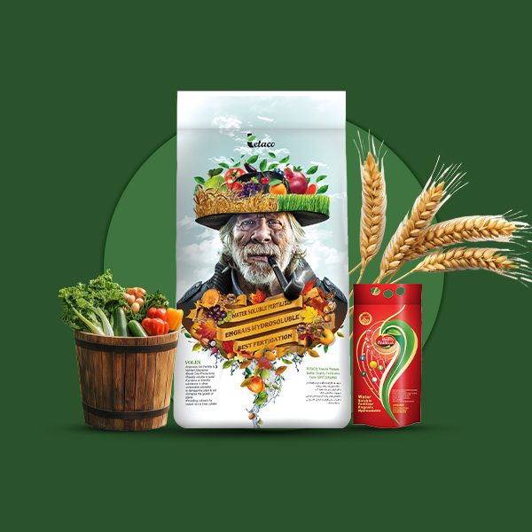 NPK 23-3-23 تتاکو