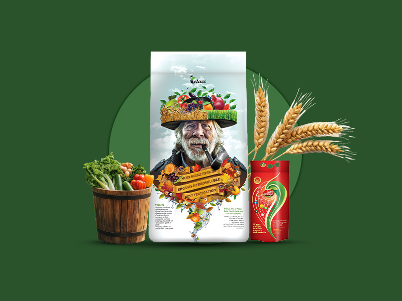 NPK 23-3-23 تتاکو