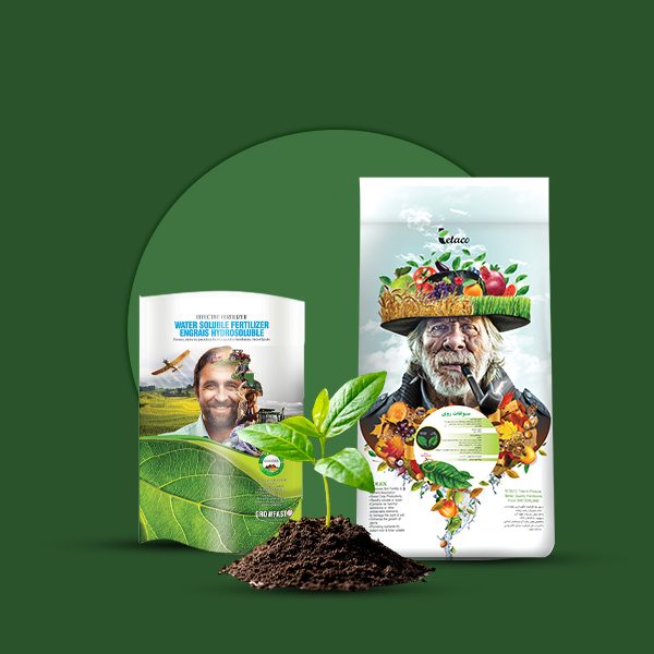 NPK 7-8-40 تتاکو