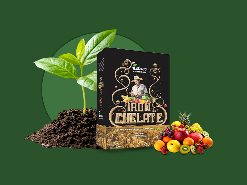 آهن غنی شده