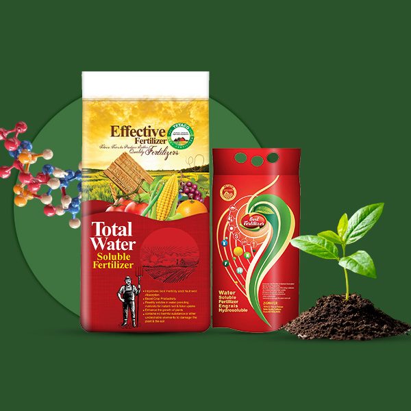 اسید آمینه تتاکو