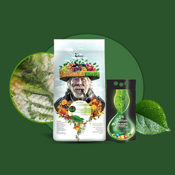 سولفات روی تتاکو