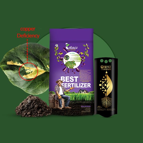 سولفات مس تتاکو