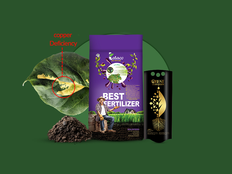 سولفات مس تتاکو