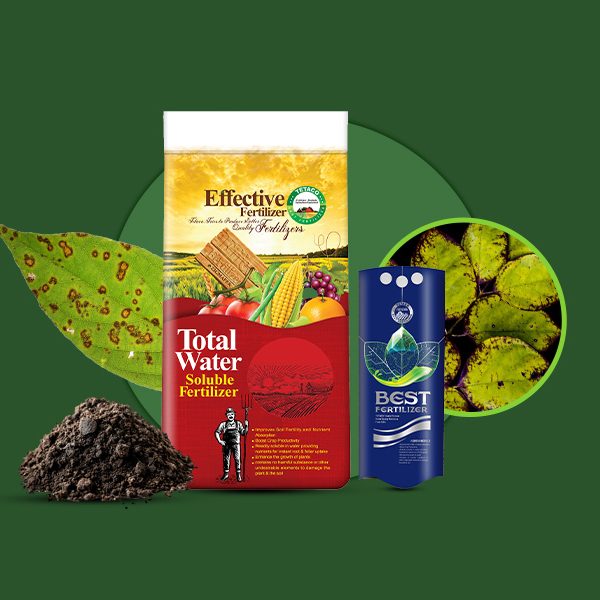 سولفات منگنز تتاکو