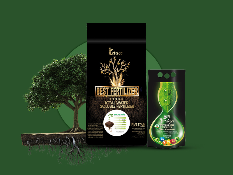 محرک رشد ریشه