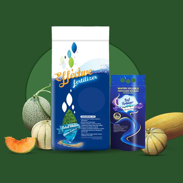 کود خربزه و طالبی