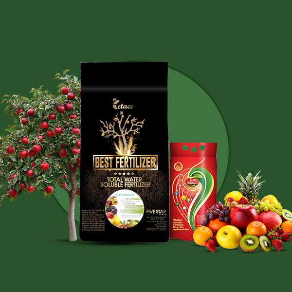 کود درختان میوه