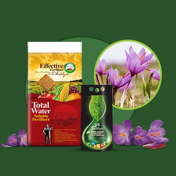 کود پیشنهادی زعفران