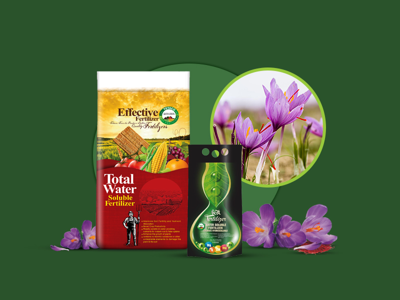 کود پیشنهادی زعفران