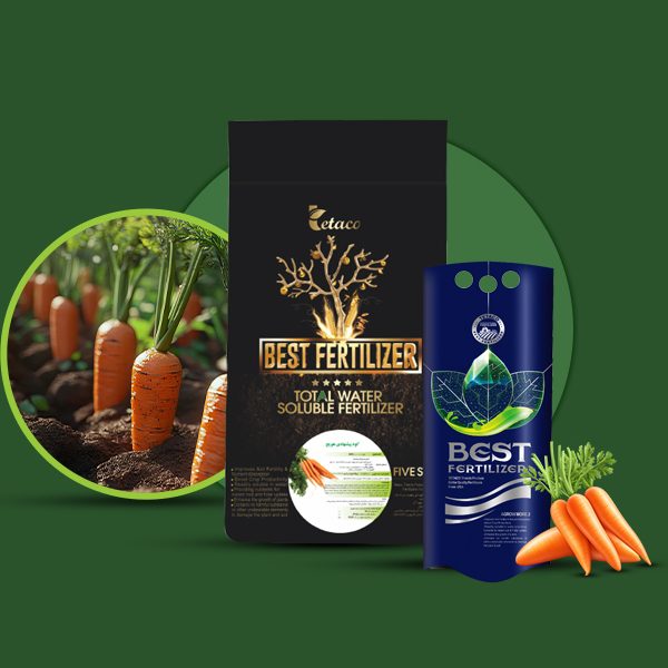 کود پیشنهادی هویج