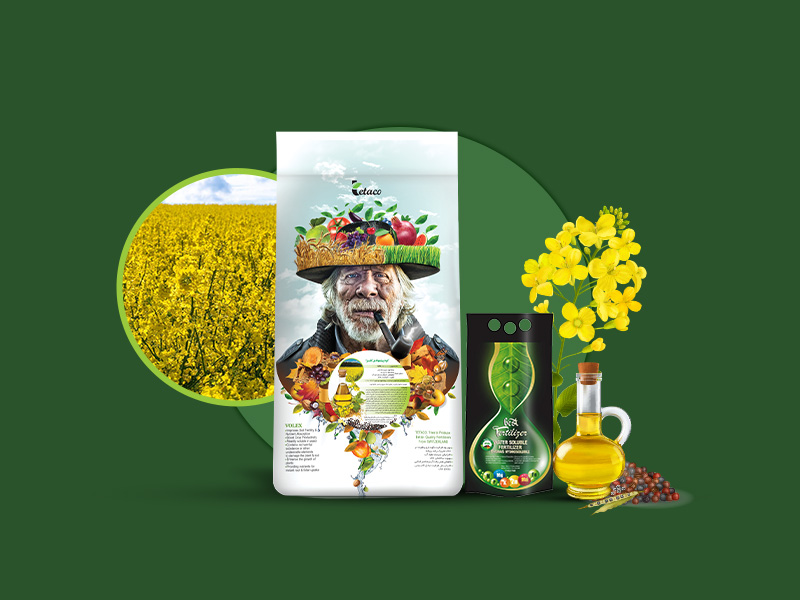 کود پیشنهادی کلزا