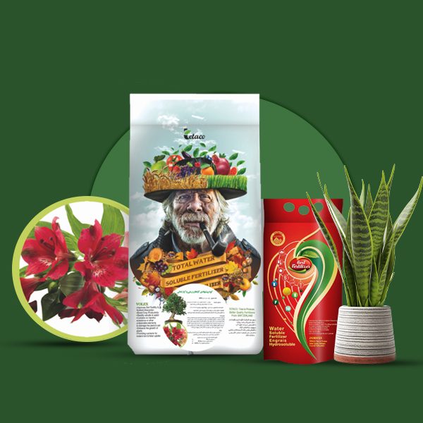 کود پیشنهادی گیاهان زینتی