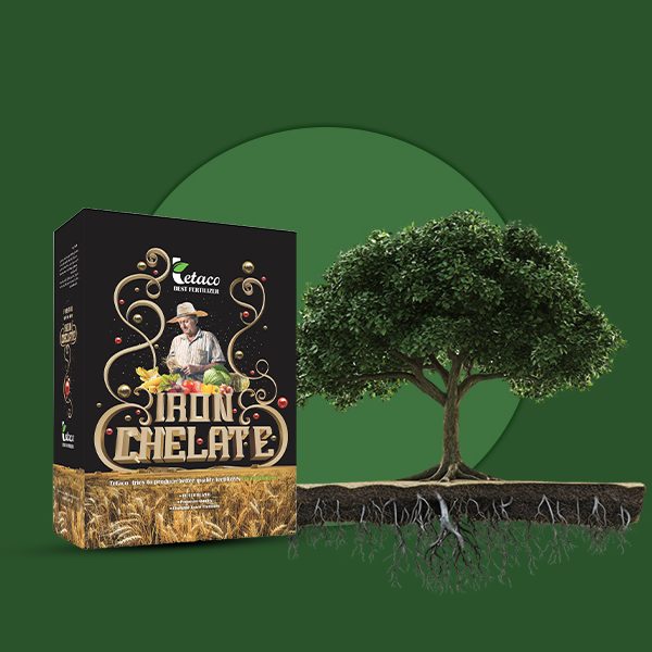 کلات اهن 10درصد