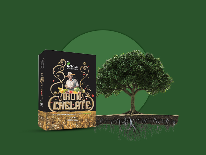 کلات اهن 10درصد