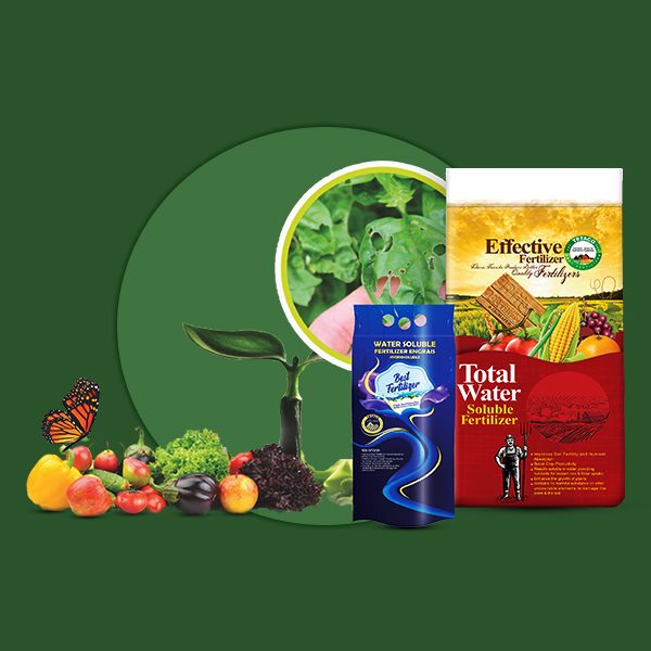 کود کلسیل تتاکو