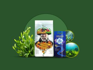 کود جلبک دریایی