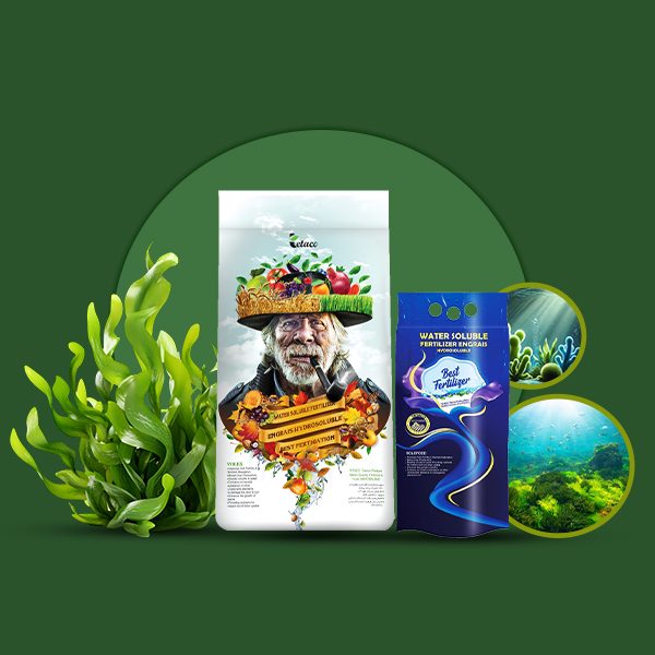 کود جلبک دریایی